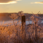 lever de soleil en Aubrac, matin de givre