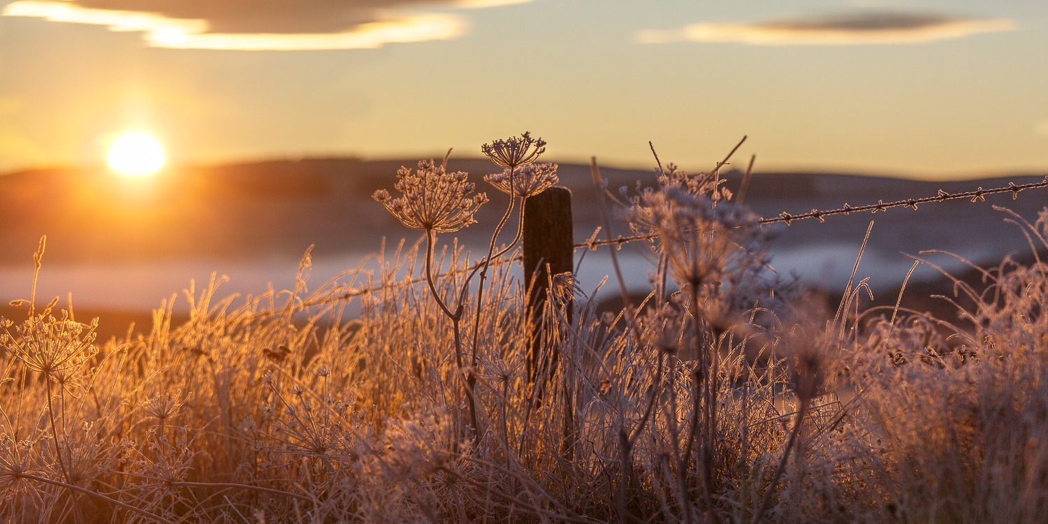 lever de soleil en Aubrac, matin de givre