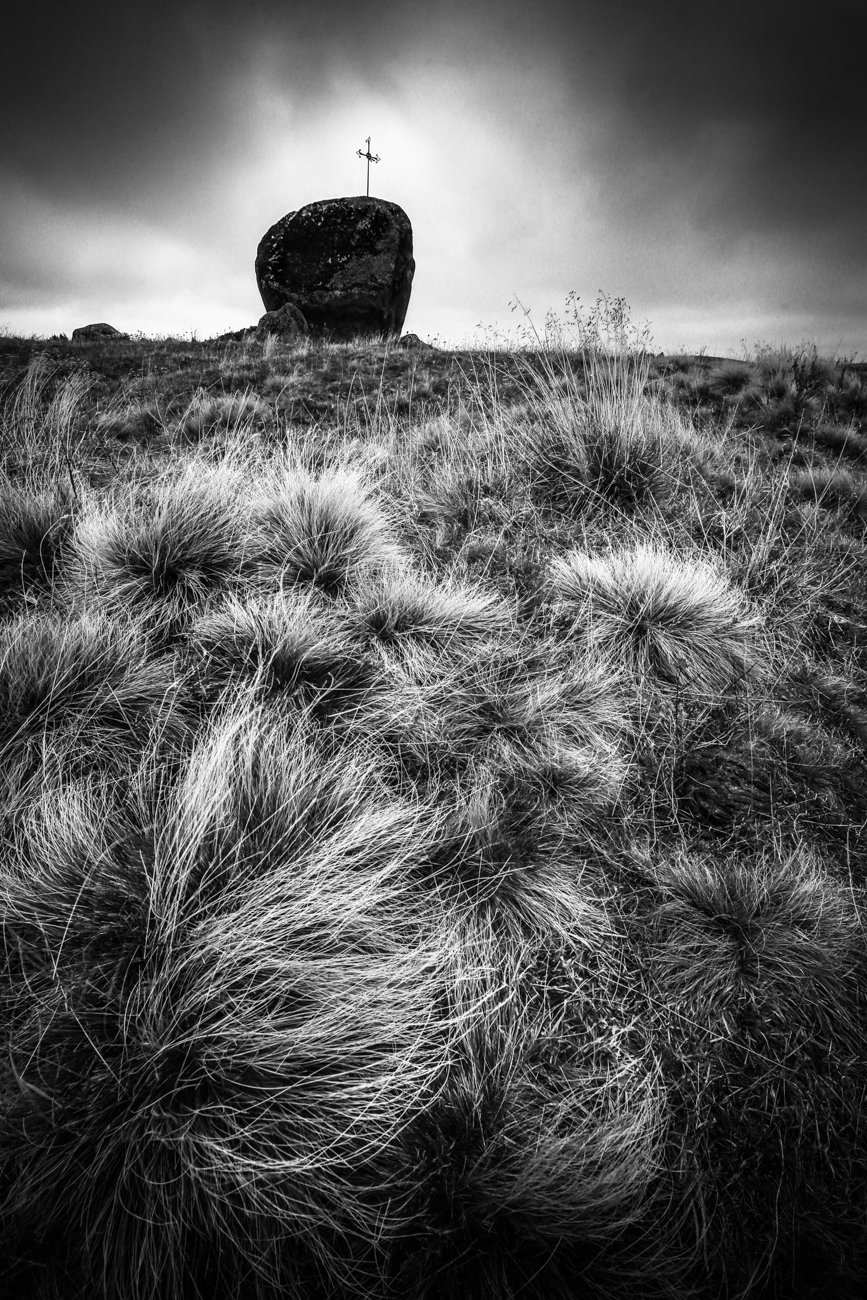 Ambiance noir et blanc sur l'Aubrac