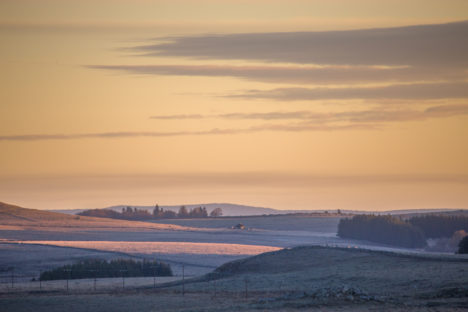 l'Aubrac en stage photo nature