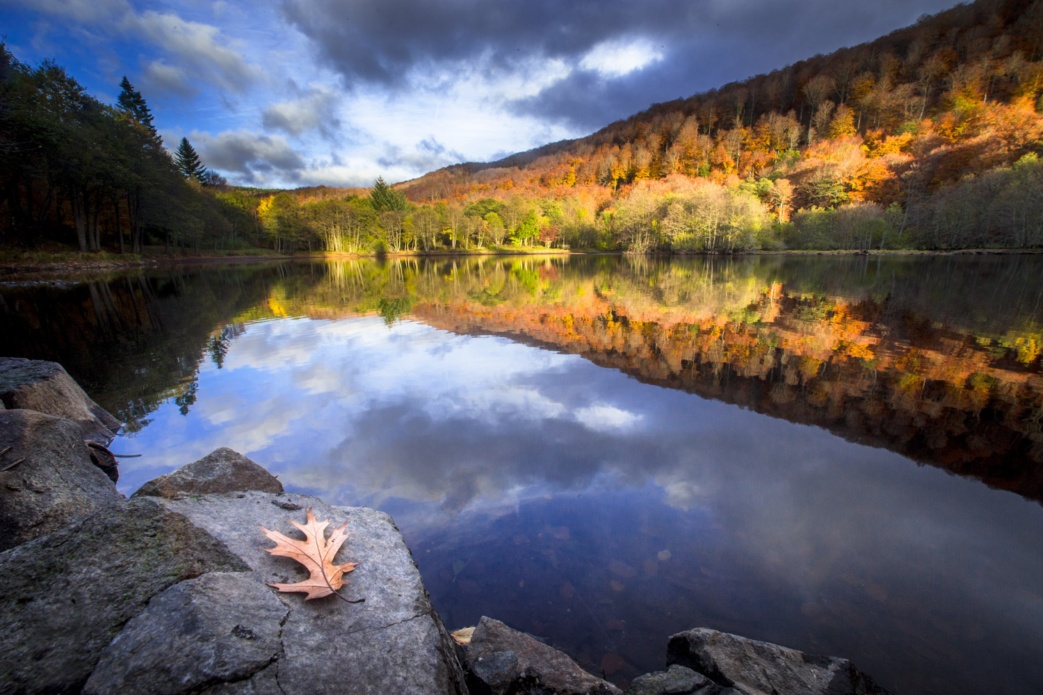 Couleurs de l'été indien sur le lac d'Aubrac