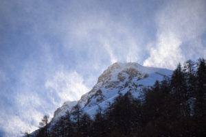 Tempête de neige en photo nature hivernale