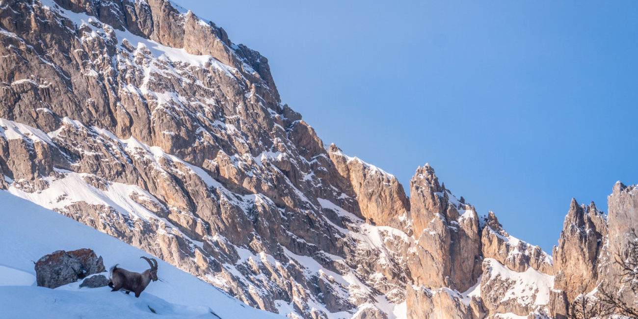 P1300046 Séjour photo en montagne dans le parc national des Ecrins