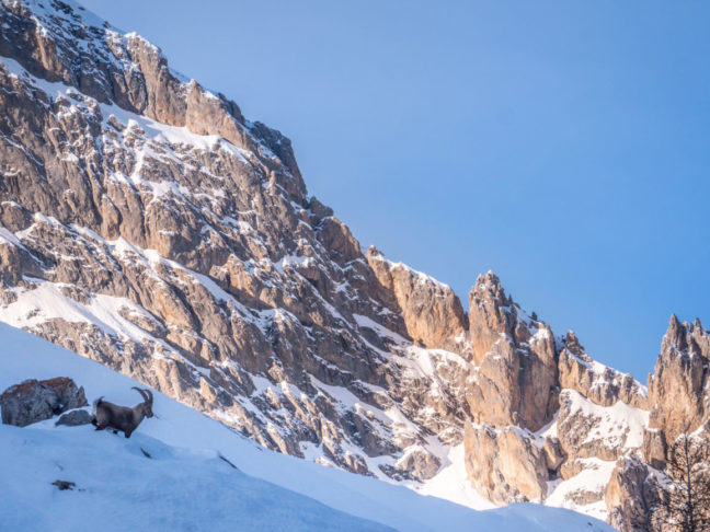 Séjour photo en montagne dans le parc national des Ecrins