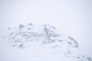 Bouquetin dans la tempête de neige