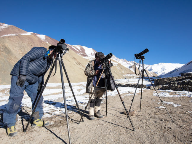 En voyage photo au Ladakh, recherche des panthères des neiges