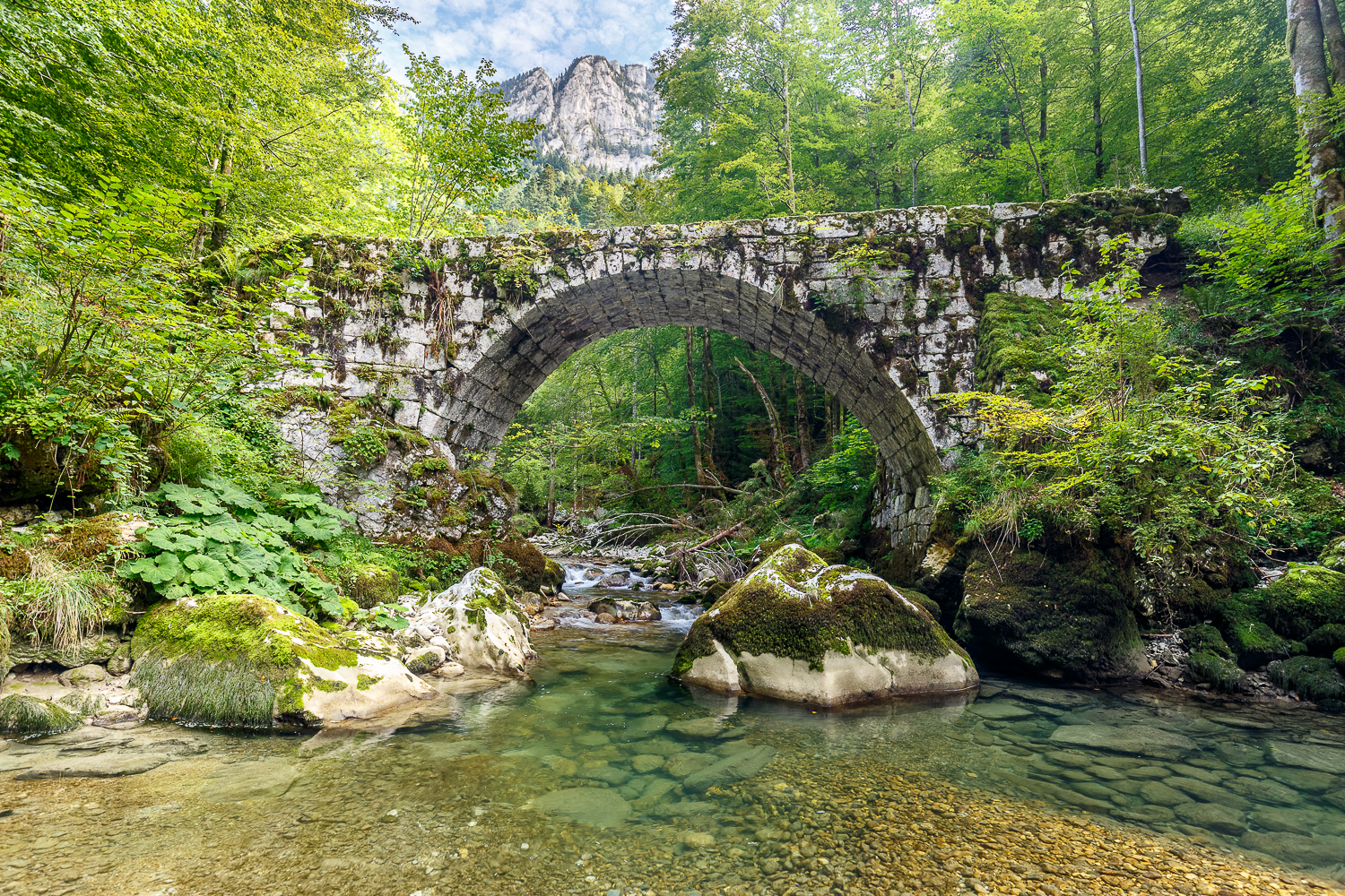 vieux pont sur les bords d'un torrent de Chartreuse, photo HDR