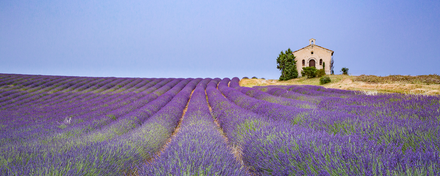 champ de lavandes et chapelle en Provence pendant un stage photo