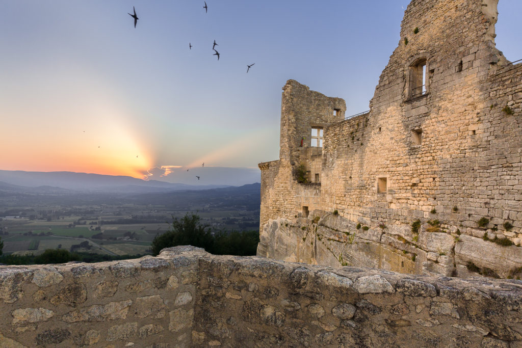 Un oeil sur la Nature | FRANCE – Provence : entre Ventoux et Lavandes