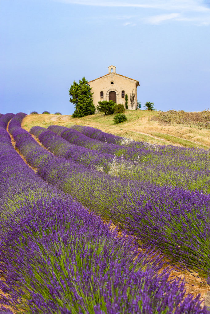 Un oeil sur la Nature | FRANCE – Provence : entre Ventoux et Lavandes