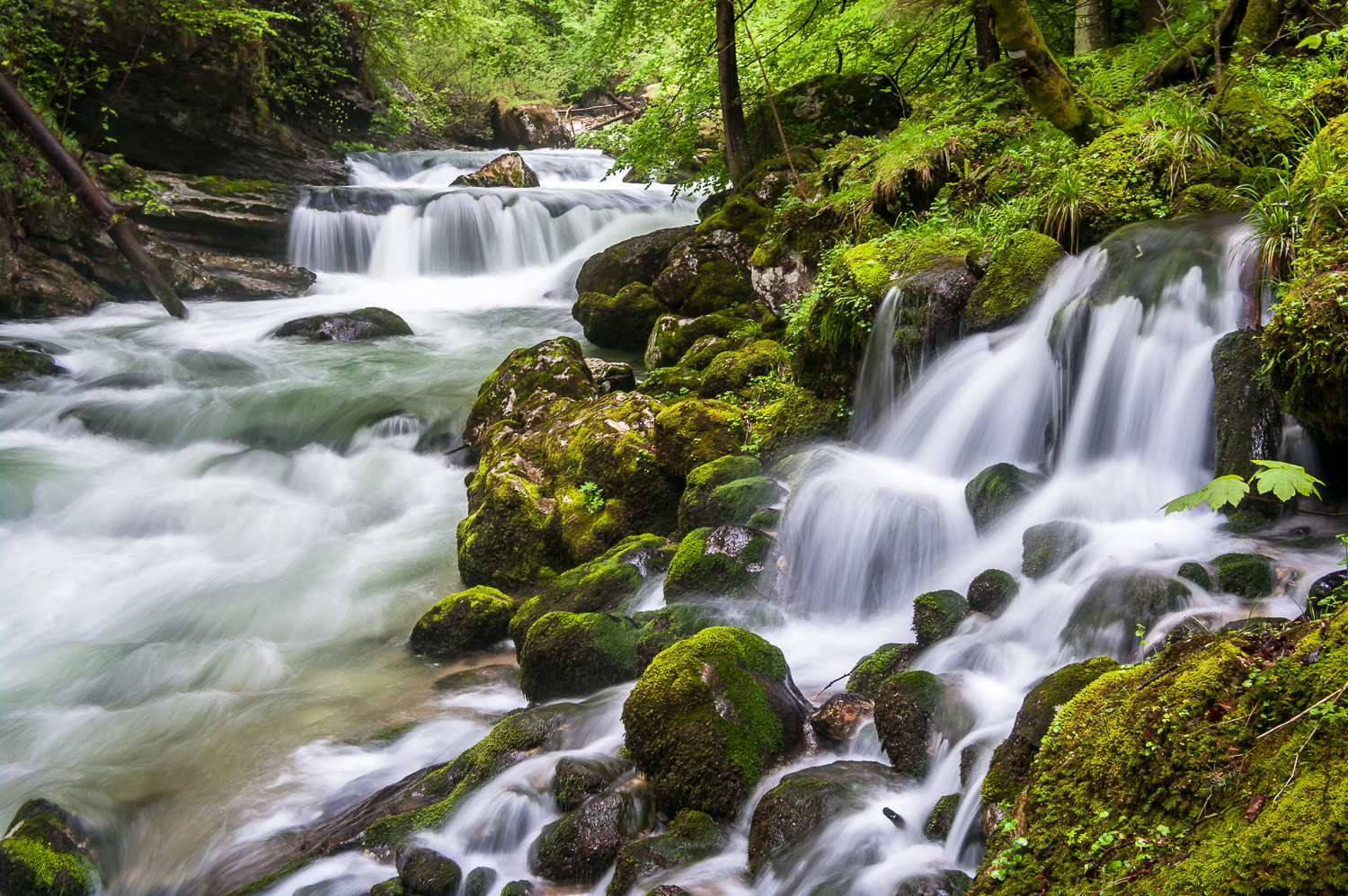 photo de torrent en pose lente en Chartreuse, filé sur torrent