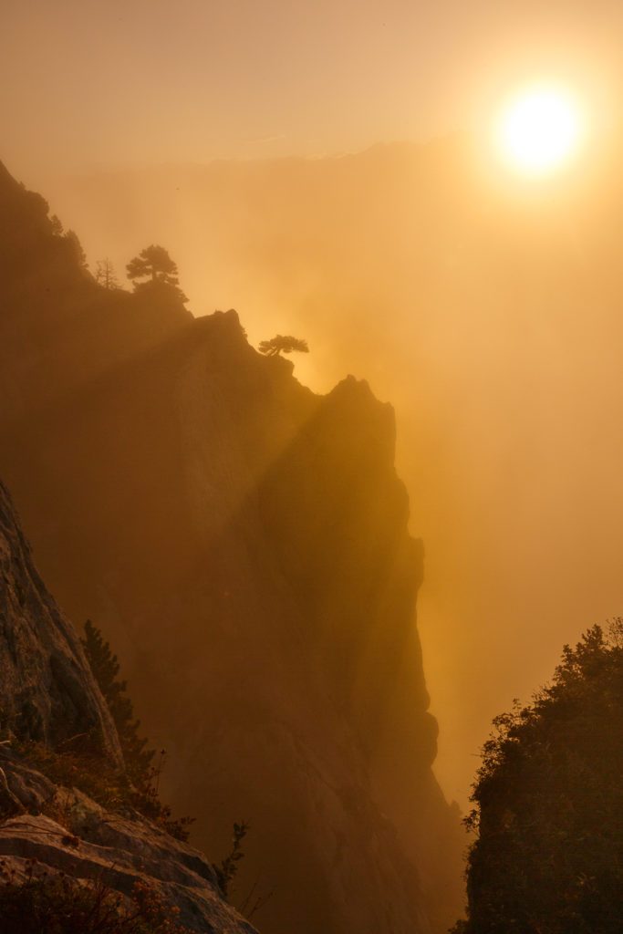 Un oeil sur la Nature | FRANCE – Photo-rando en Chartreuse