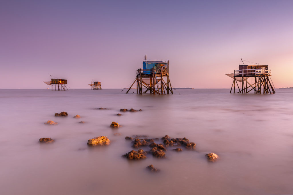 Un oeil sur la Nature | FRANCE – Charente maritime, île d’Oléron