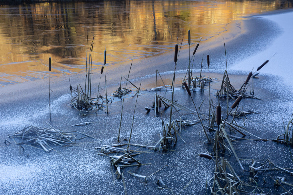 Un oeil sur la Nature | FRANCE – L’Aubrac en parure d’hiver