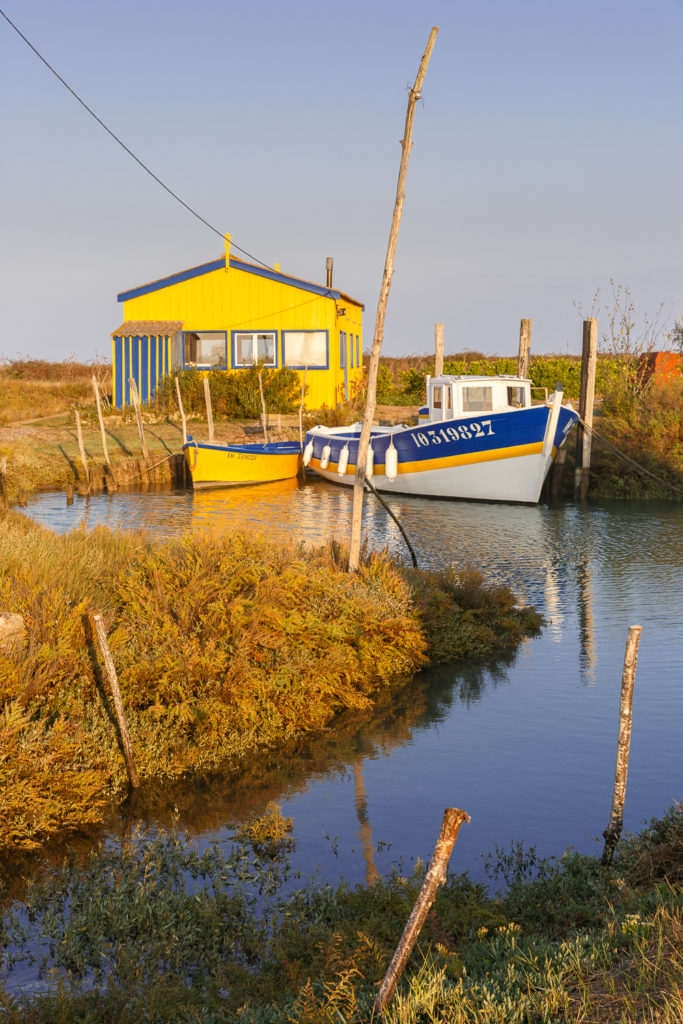 Un oeil sur la Nature | FRANCE – Charente maritime, île d’Oléron