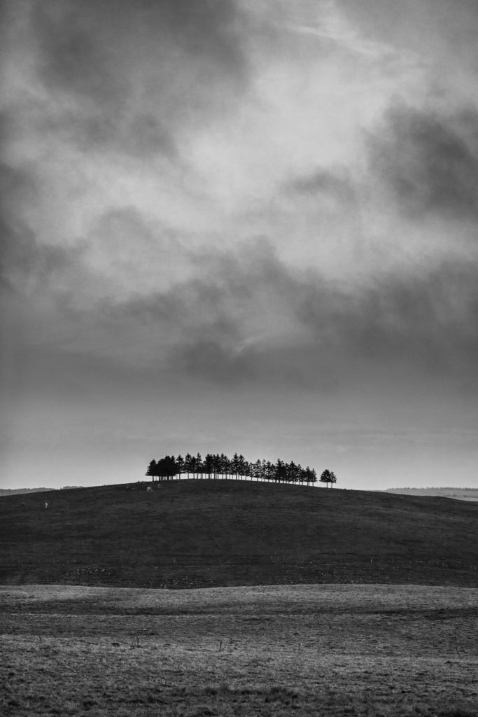 Un oeil sur la Nature | FRANCE – L’Aubrac en automne