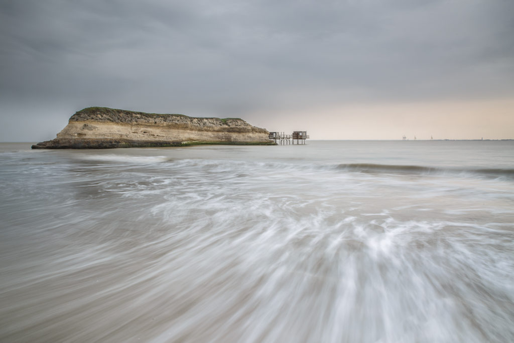 Un oeil sur la Nature | FRANCE – Charente maritime, île d’Oléron