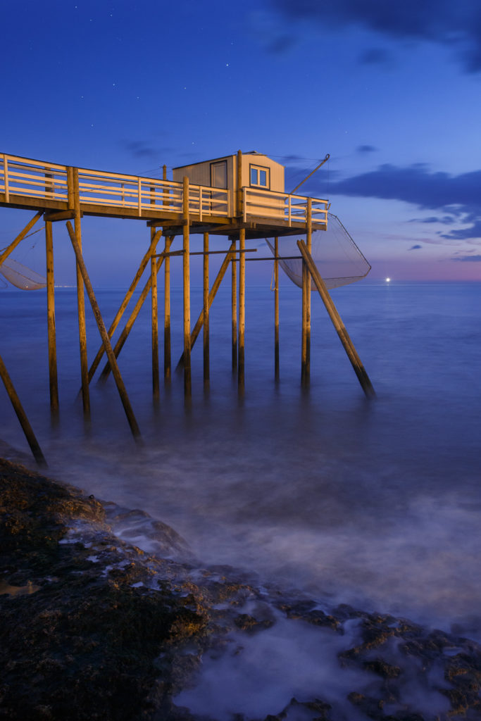 Un oeil sur la Nature | FRANCE – Charente, île d’Oléron