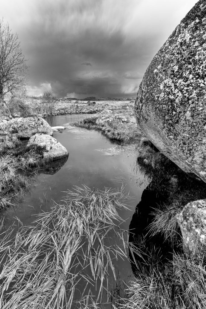 Un oeil sur la Nature | FRANCE – L’Aubrac en automne