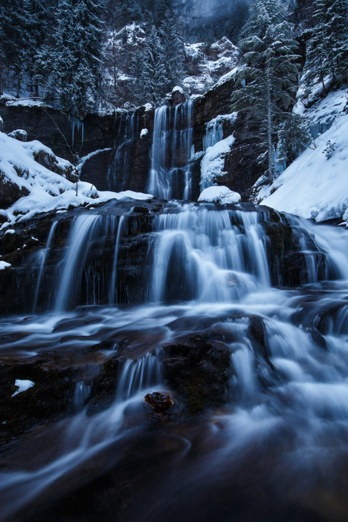 Un oeil sur la Nature | FRANCE – Évasion hivernale en Chartreuse