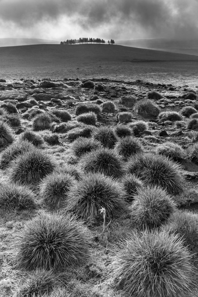 Un oeil sur la Nature | FRANCE – L’Aubrac en automne