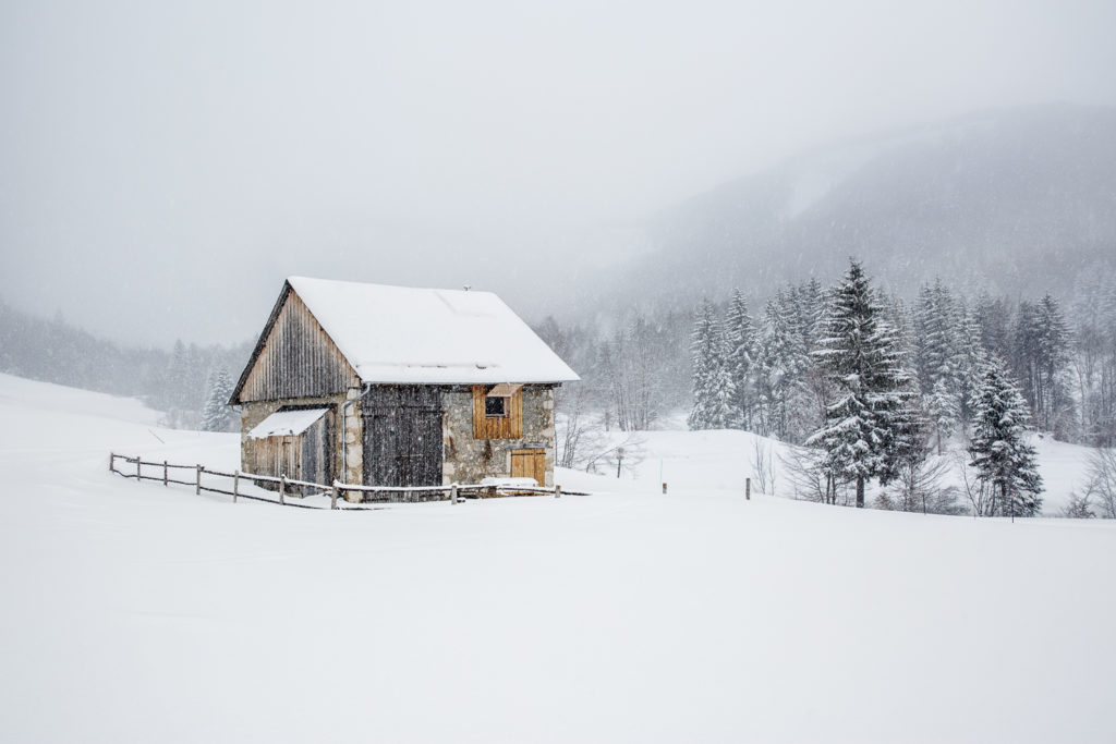 Un oeil sur la Nature | FRANCE – Évasion hivernale en Chartreuse