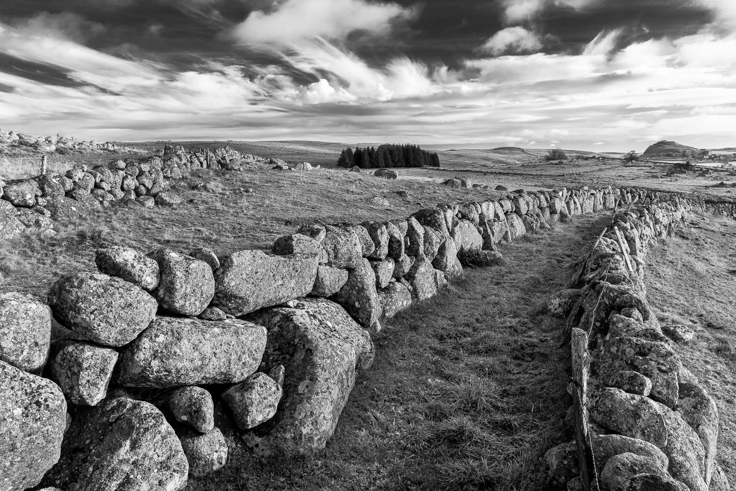 paysage typique des drailles d'Aubrac, stage photo en noir et blanc