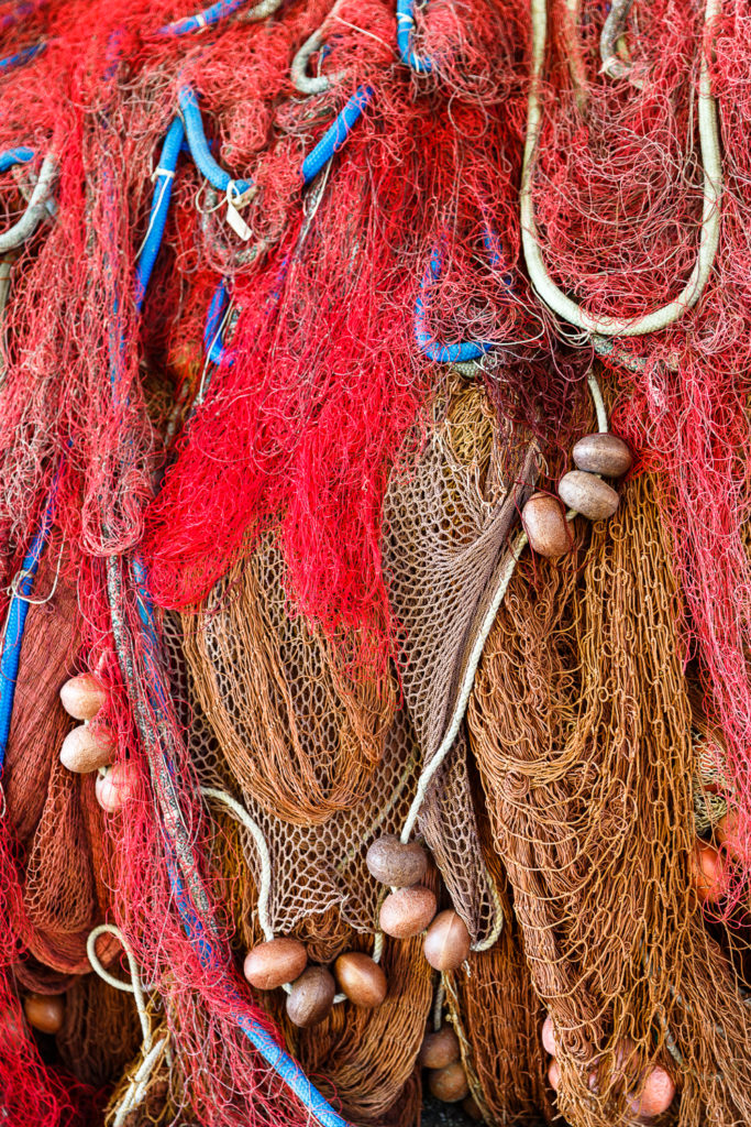 Un oeil sur la Nature | ITALIE – Cinque Terre