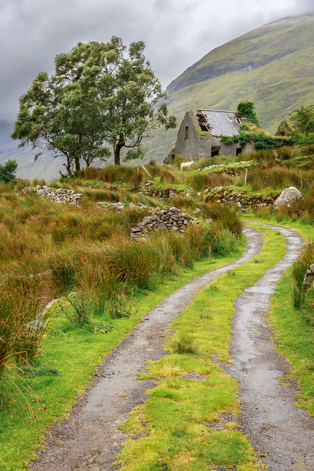 Dromluska cottage, Kerry, Ireland