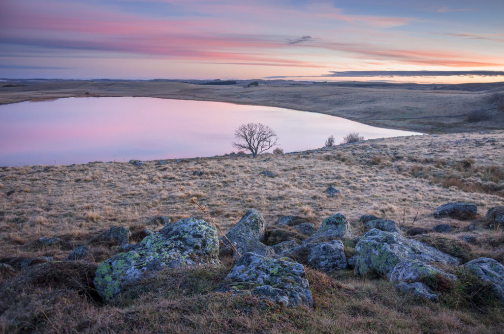 Un oeil sur la Nature | FRANCE – L’Aubrac à l’été indien