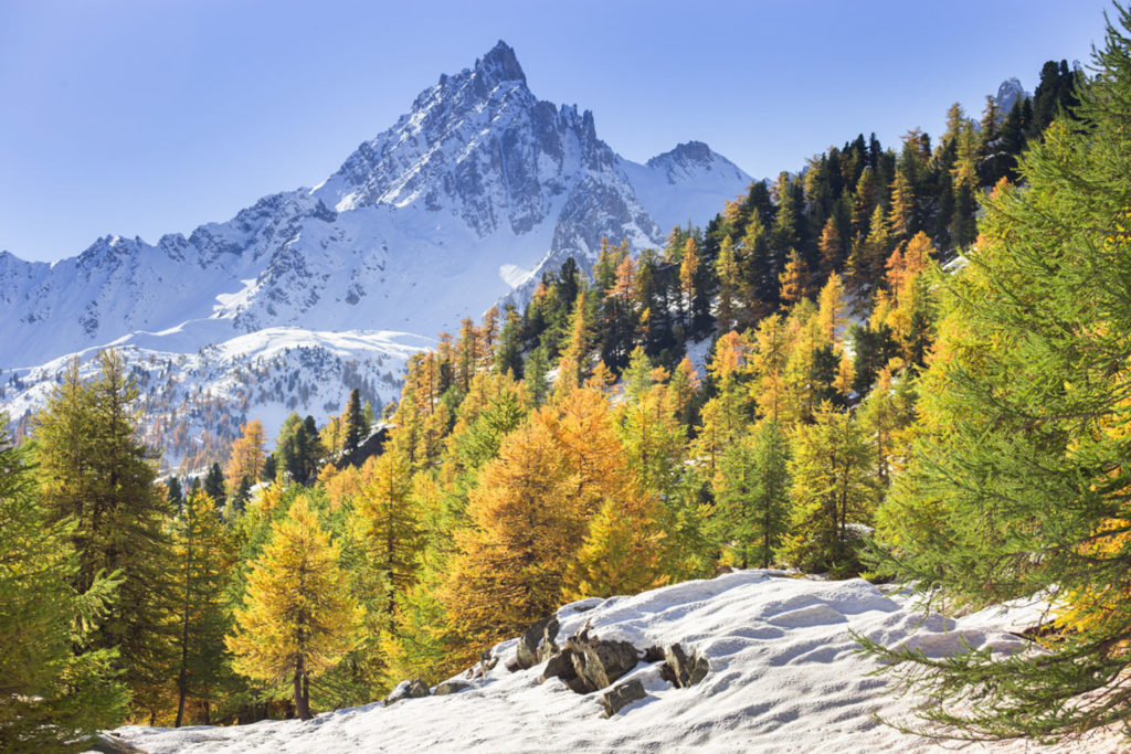 Un oeil sur la Nature | FRANCE – La vallée de la Clarée à l’automne