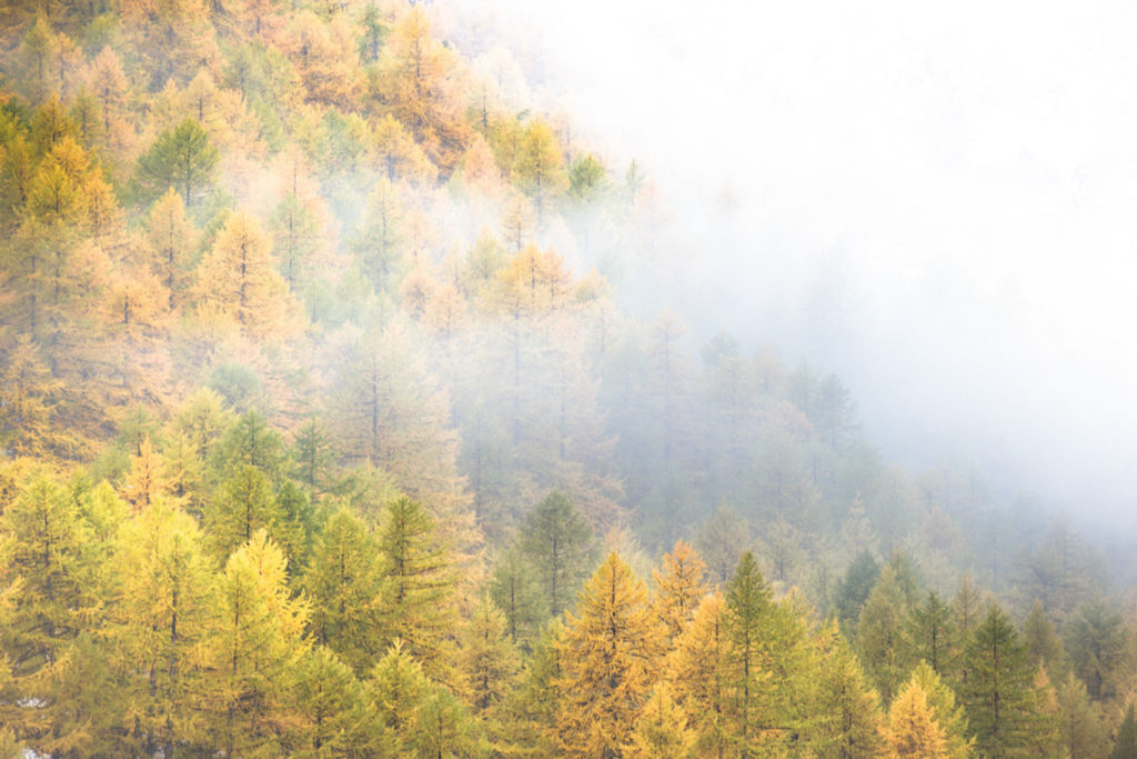 Un oeil sur la Nature | FRANCE – La vallée de la Clarée à l’automne