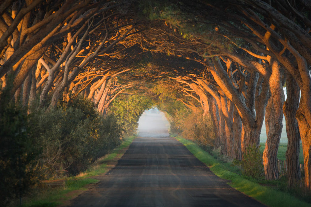 Un oeil sur la Nature | ITALIE – La Toscane au printemps