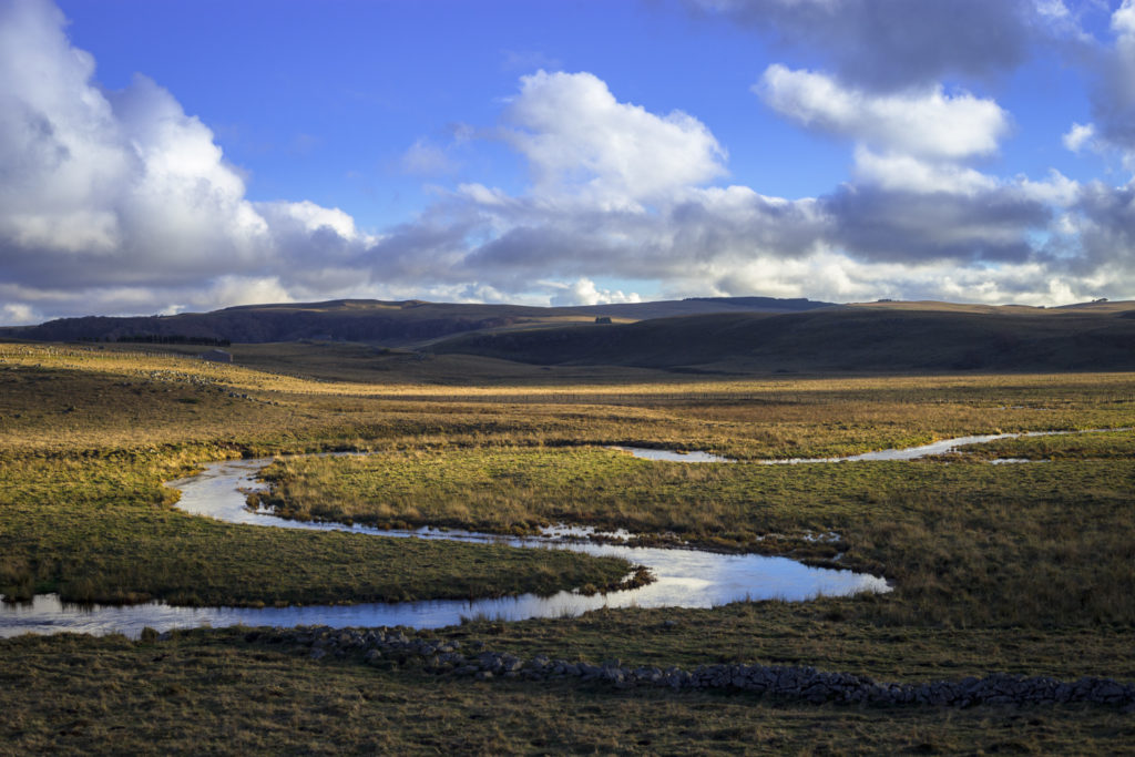 Un oeil sur la Nature | FRANCE – L’Aubrac à l’été indien