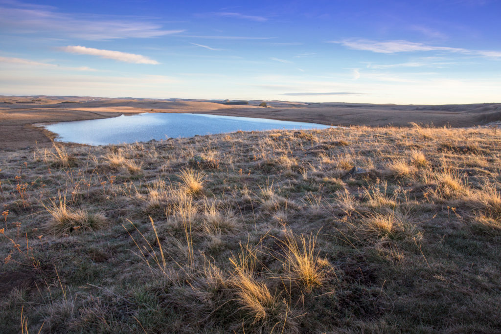 Un oeil sur la Nature | FRANCE – L’Aubrac à l’été indien