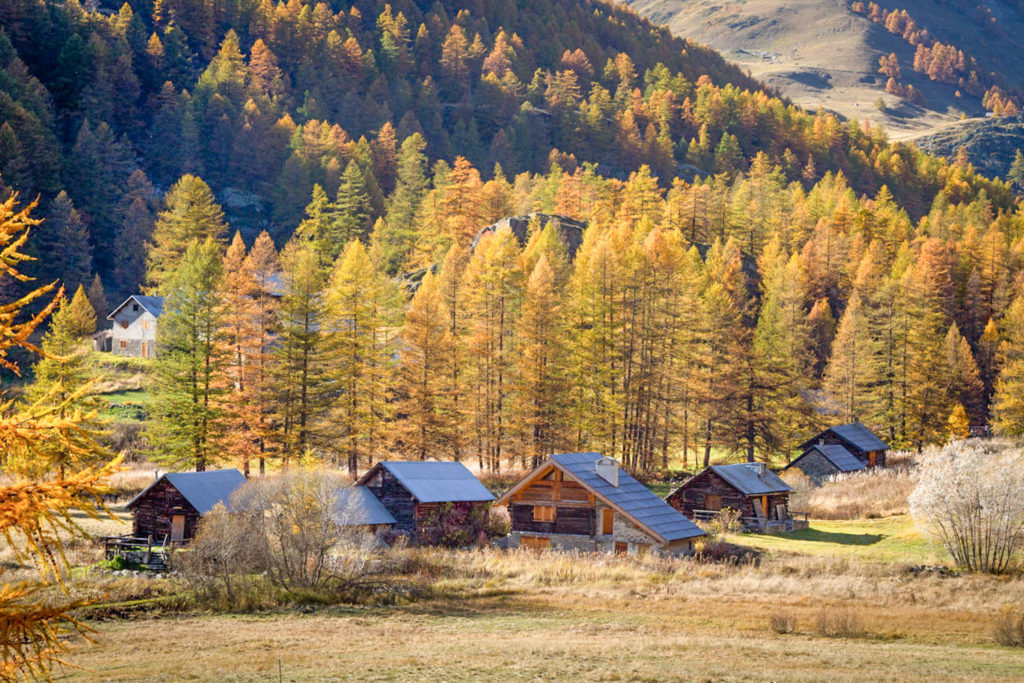 Un oeil sur la Nature | FRANCE – La vallée de la Clarée à l’automne