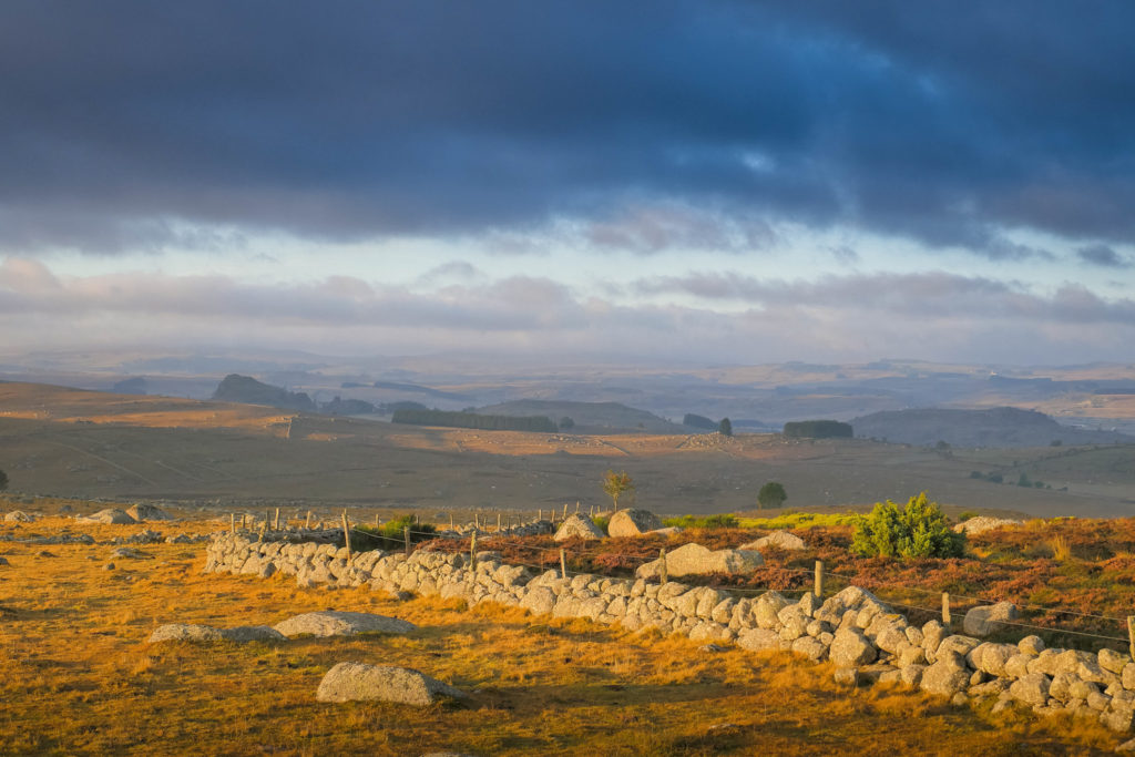 Un oeil sur la Nature | FRANCE – L’Aubrac à l’été indien