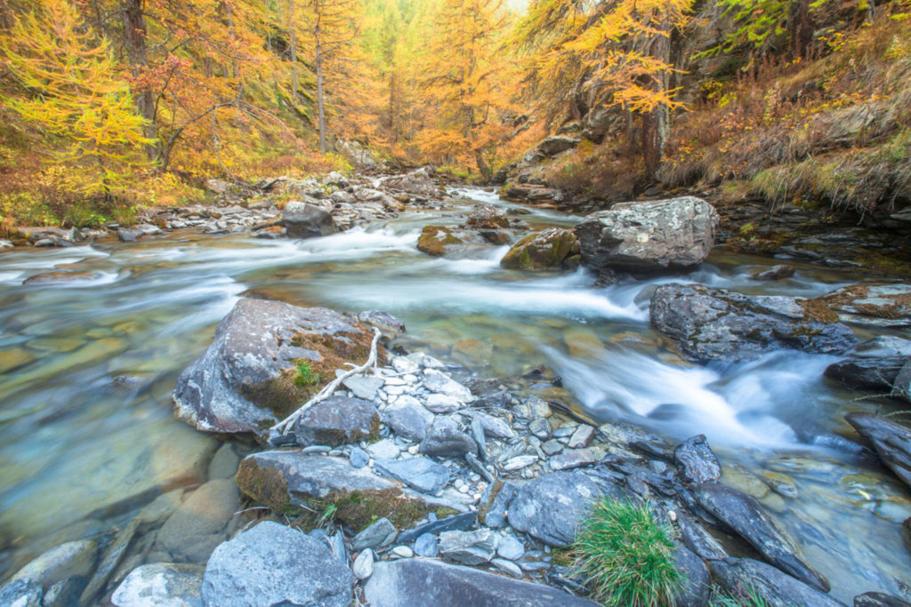 Un oeil sur la Nature | FRANCE – La vallée de la Clarée à l’automne