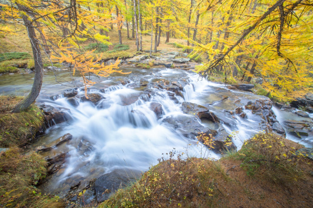 Un oeil sur la Nature | FRANCE – La vallée de la Clarée à l’automne