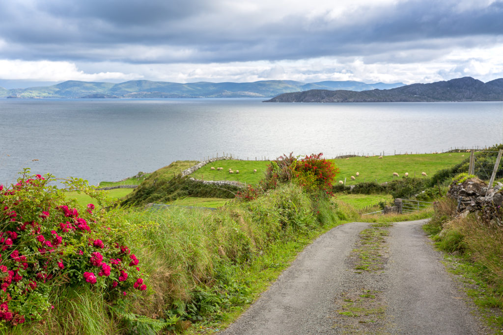 Un oeil sur la Nature | IRLANDE – Couleurs du Kerry