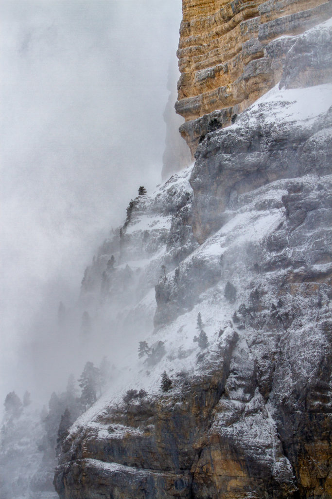 Un oeil sur la Nature | FRANCE – Évasion hivernale en Chartreuse