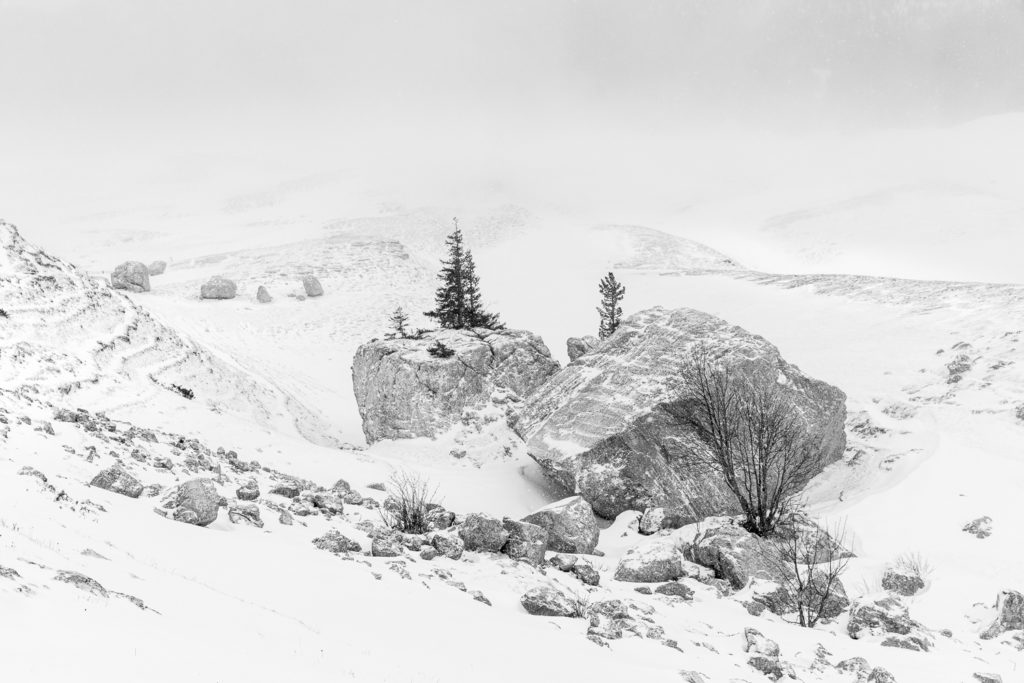 Un oeil sur la Nature | FRANCE – Évasion hivernale en Chartreuse