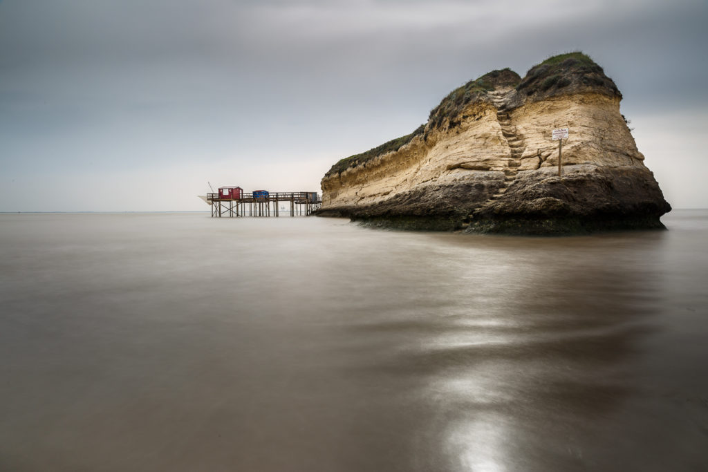 Un oeil sur la Nature | FRANCE – Charente, île d’Oléron