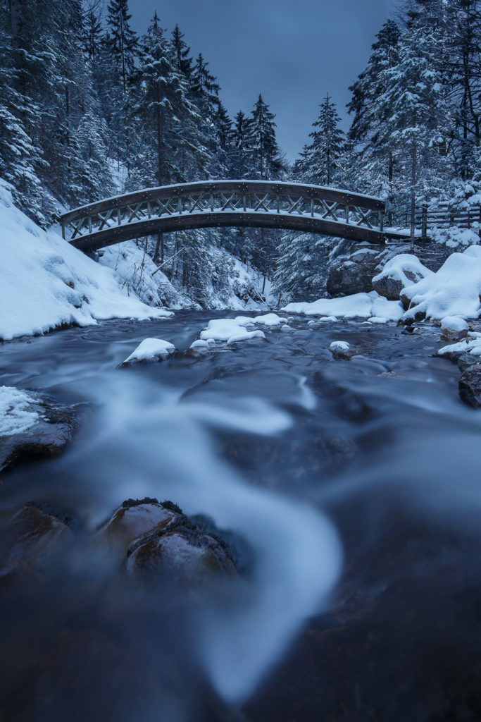 Un oeil sur la Nature | FRANCE – Évasion hivernale en Chartreuse