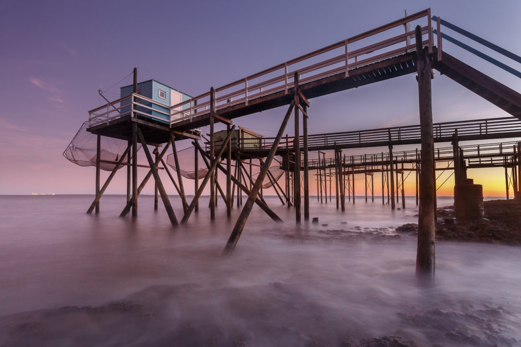 Un oeil sur la Nature | FRANCE – Charente maritime, île d’Oléron