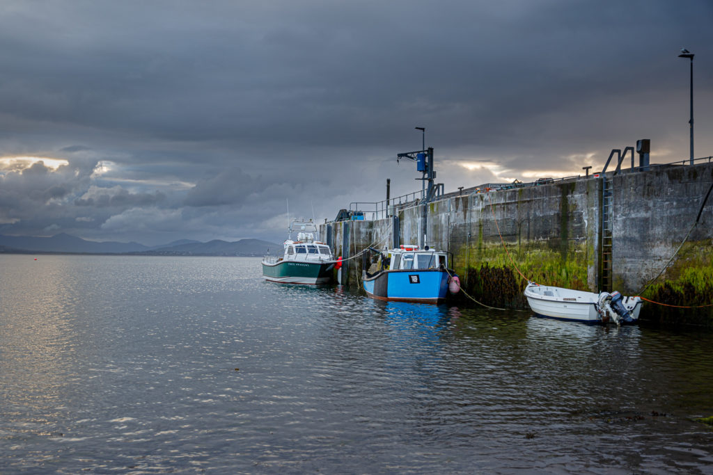 Un oeil sur la Nature | IRLANDE – Couleurs du Kerry