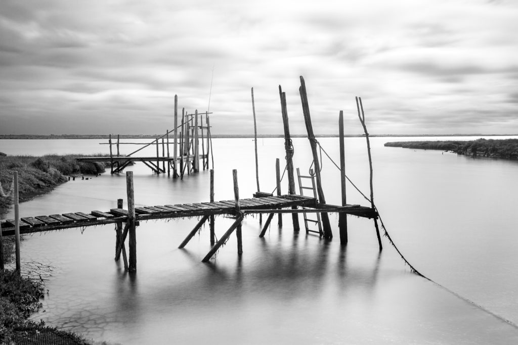 Un oeil sur la Nature | FRANCE – Charente, île d’Oléron