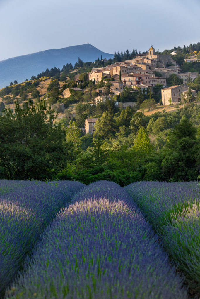 Un oeil sur la Nature | FRANCE – Provence : entre Ventoux et Lavandes