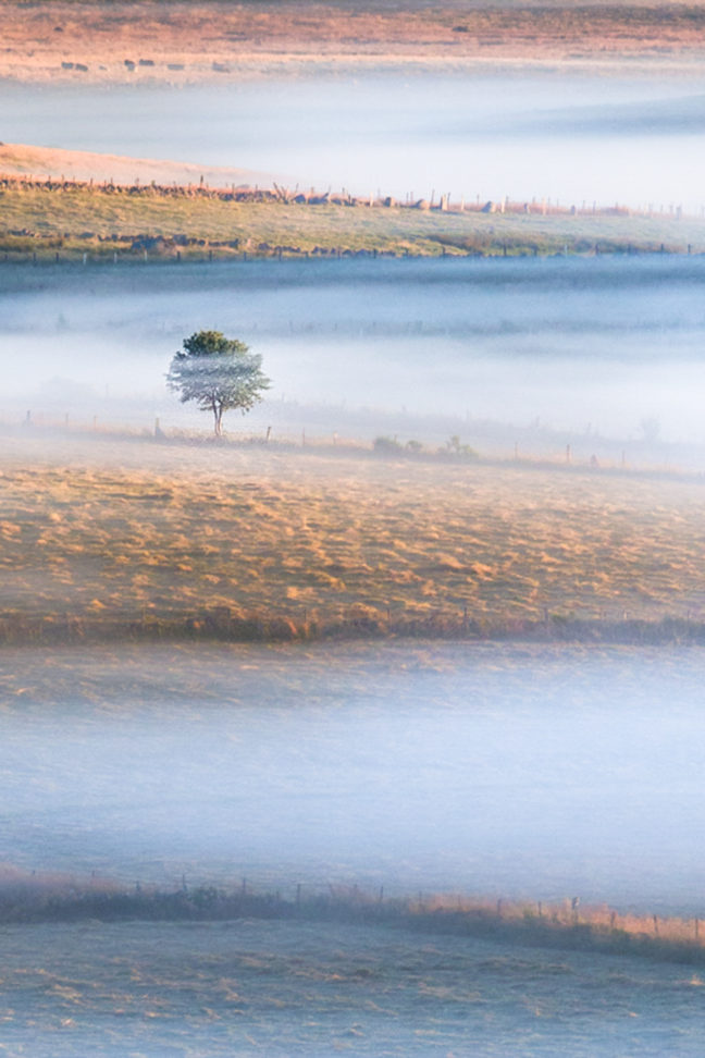Stage photo sur l'Aubrac / Nasbinals