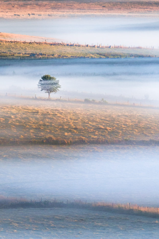 Stage photo sur l'Aubrac / Nasbinals